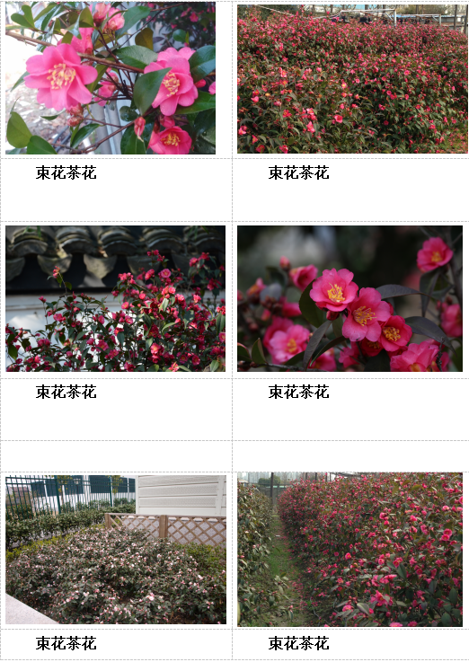 f1fea4551e8cf6d37234bc5ca570660.png
