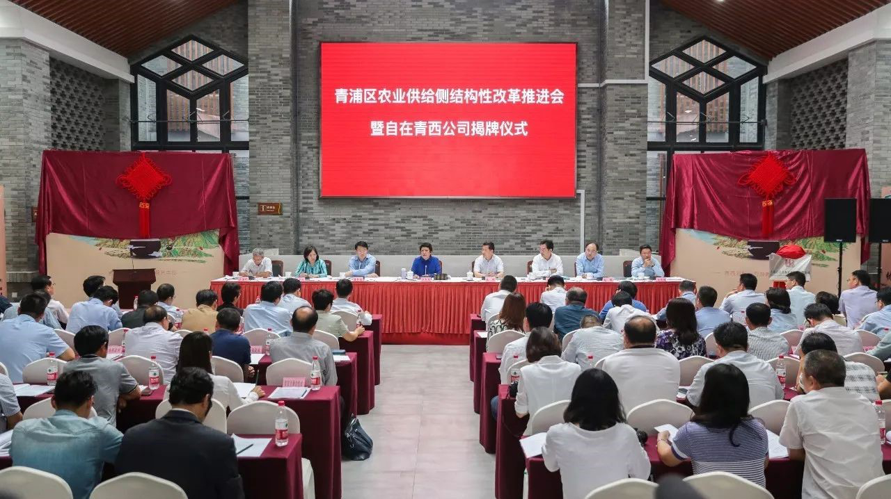 图片10.jpg