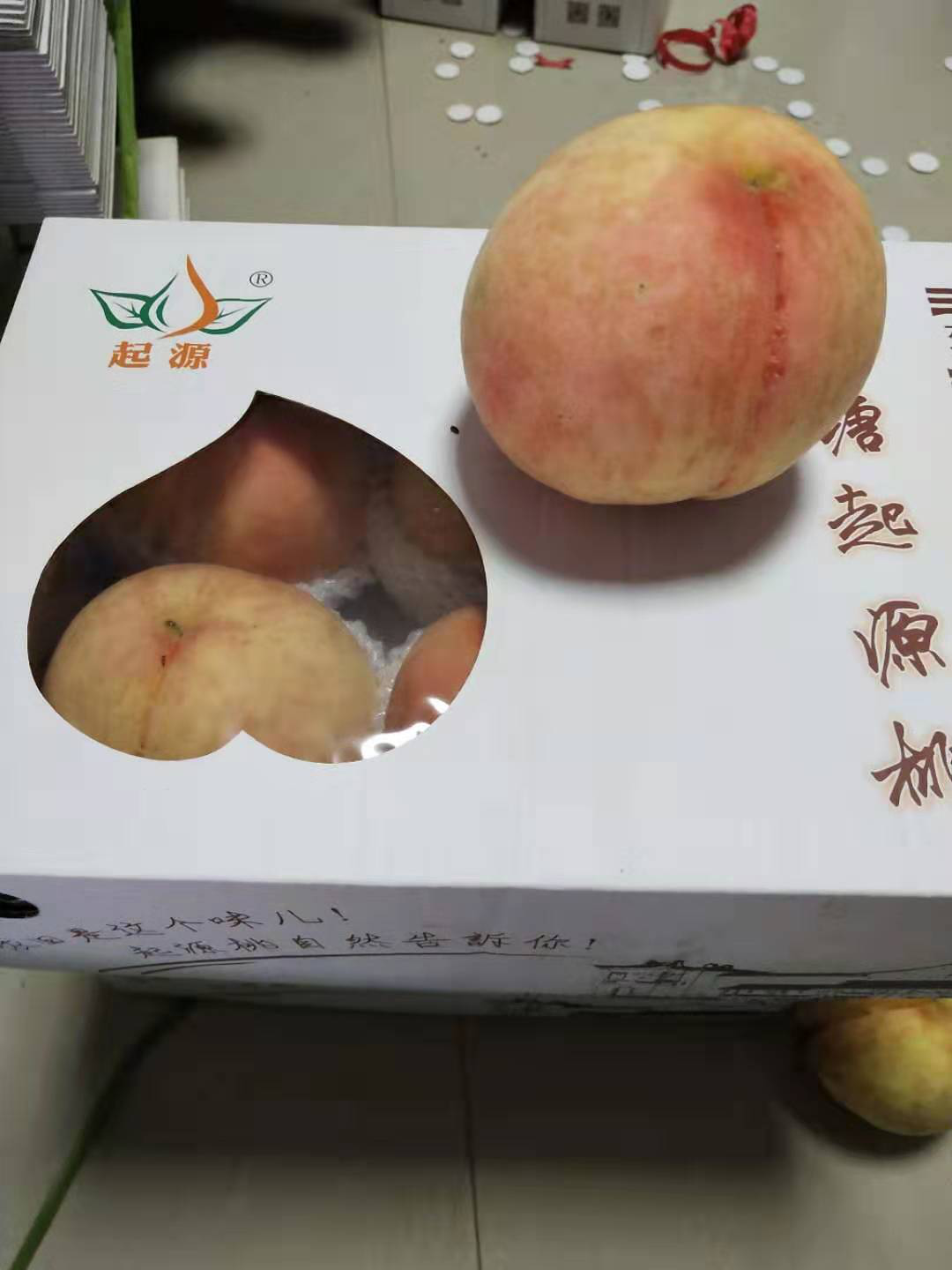 图片1.png
