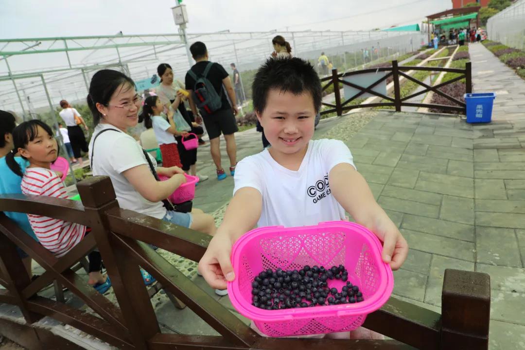 微信图片_20200608132315.jpg