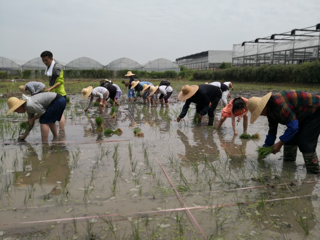 微信图片_20200616190458.png