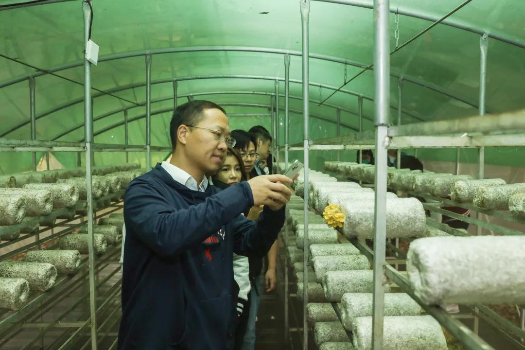 微信图片_20201030090535.jpg