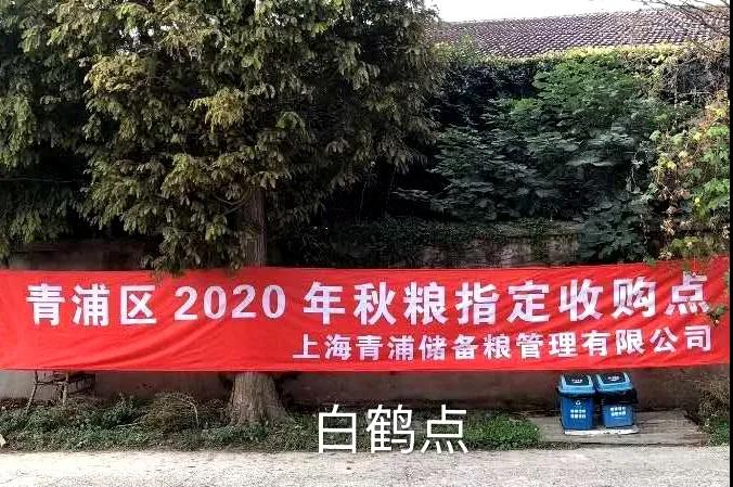 微信图片_20201102085242.jpg