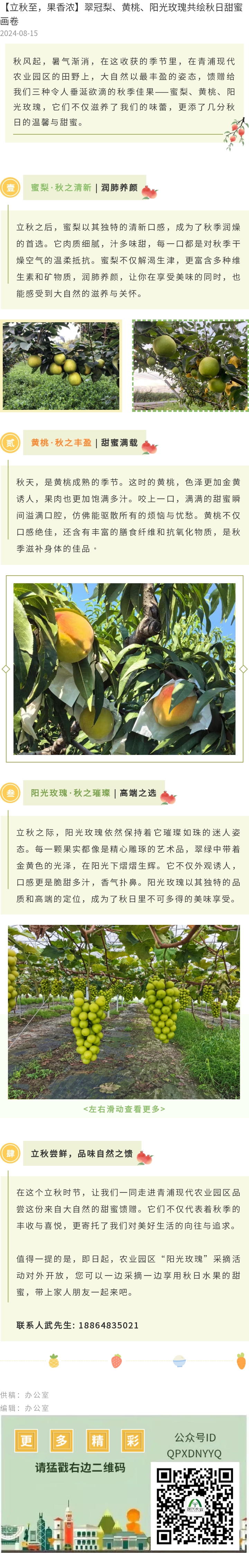 135editor_08151634_66bdbd8f7a49820240815163423.jpg