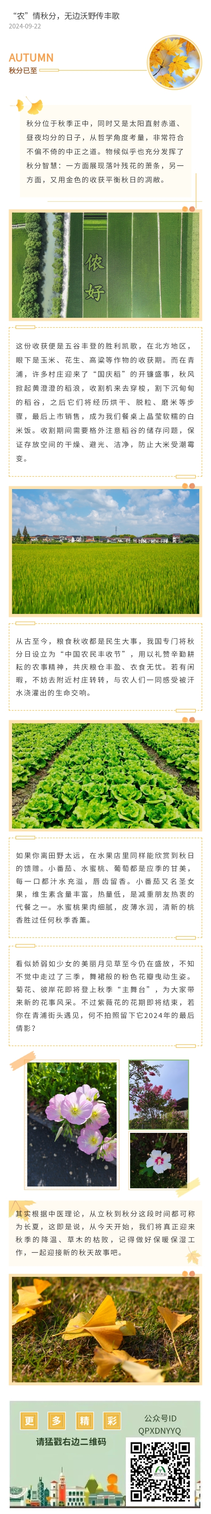 135editor_09220738_66ef5911ca53b20240922073857_副本.jpg