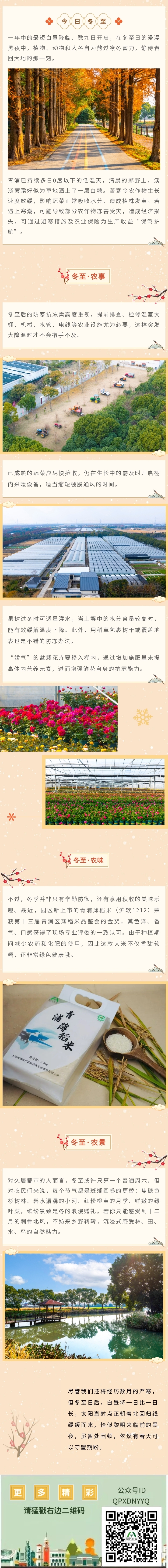 ac6d03606cf6058fff9dd88a289039fd.jpg