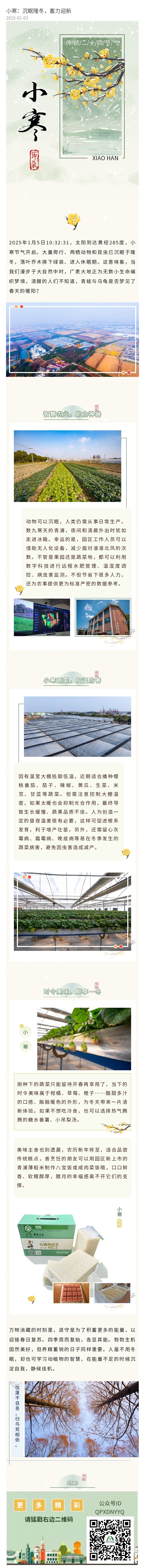 小寒.jpg