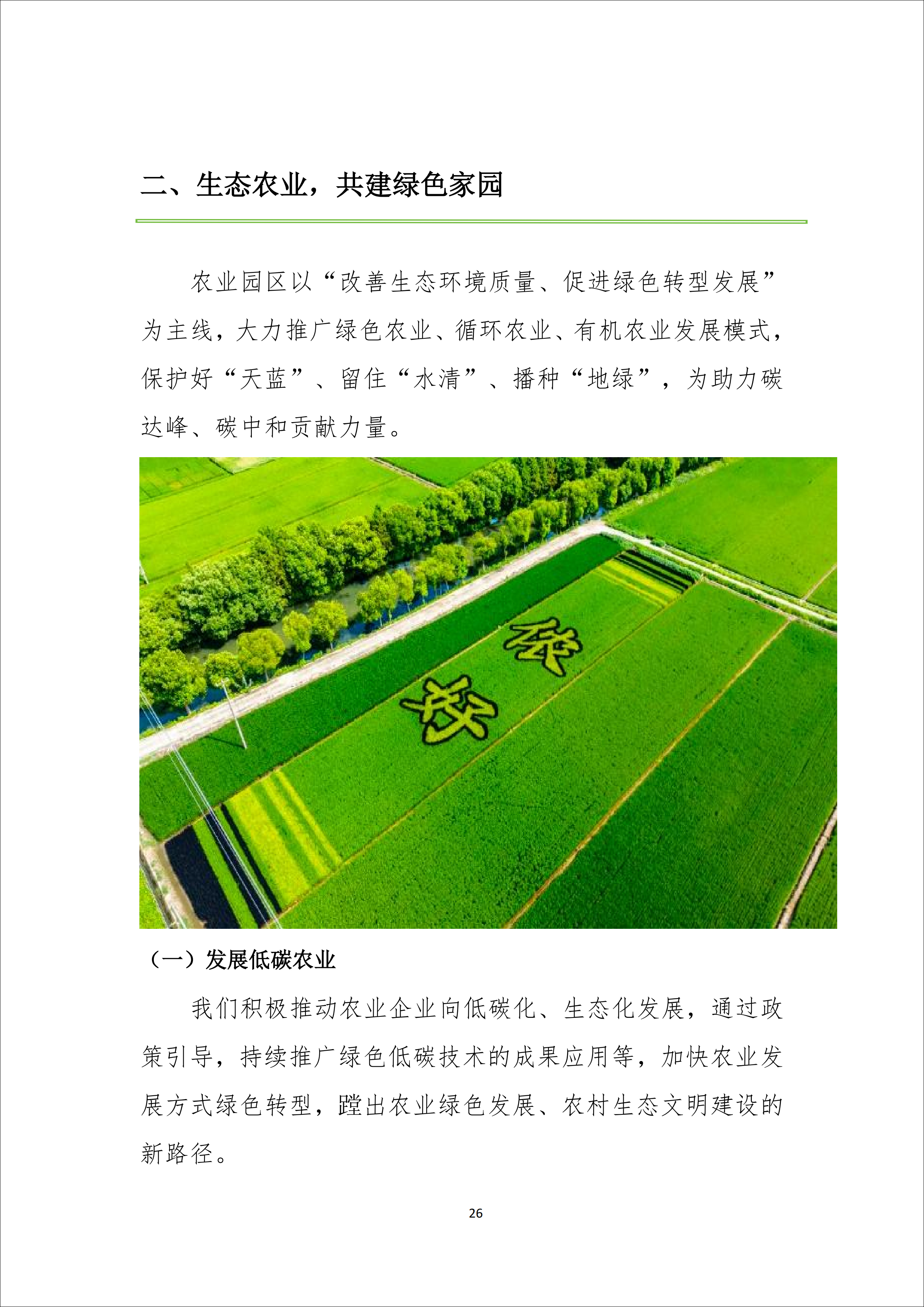 26.jpg