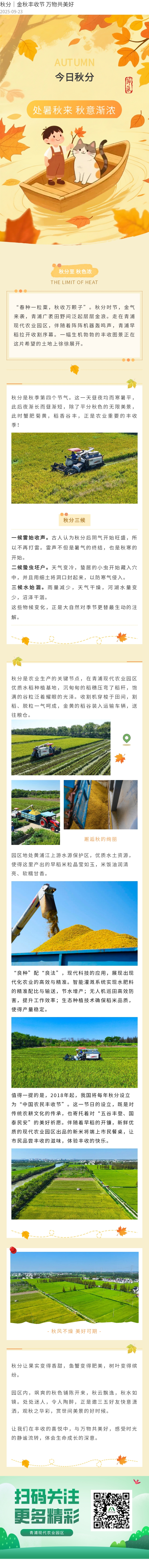 135editor_09231658_68d26149b675220250923165849.jpg