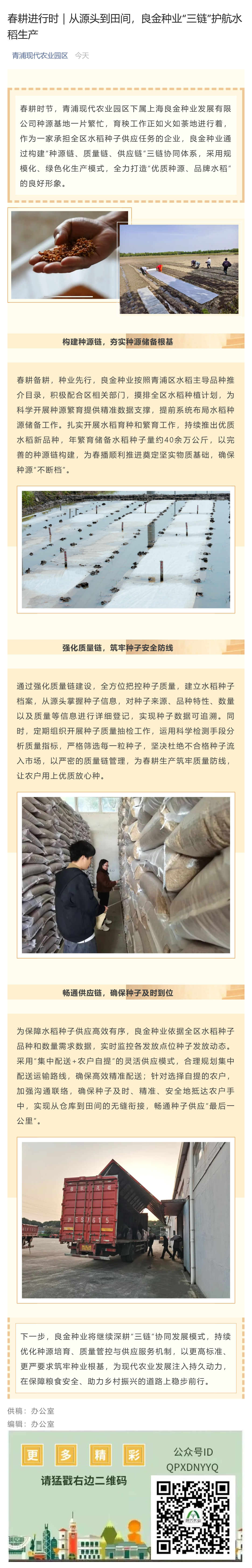 春耕进行时｜从源头到田间，良金种业“三链”护航水稻生产_壹伴长图1.jpg